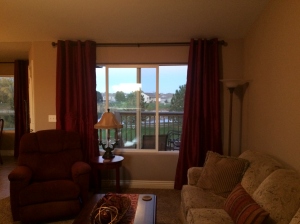 Here are the drapes in the Living Room. We also installed the same ones in the Dining Room.