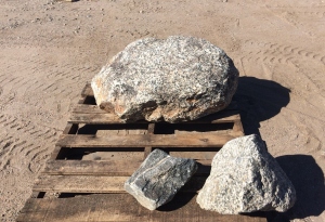 Some of the rocks we selected.